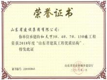 和天下3#、4#、7#、13#楼获2018年度“山东省建筑工程优质结构”